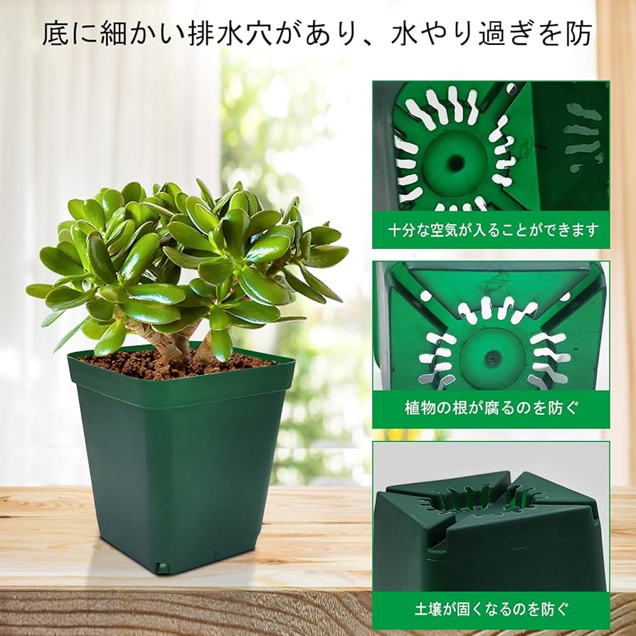 大容量 正方形 ポット 8cm 100個 多肉植物 苗 花 プラ グリーン Amazon.co.jp: RooTrimmer 育苗ポット 8cm 100個入り 正方形 苗